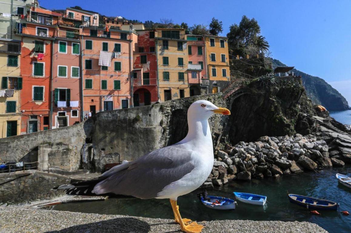 Terra Prime Suite Riomaggiore Eksteriør bilde